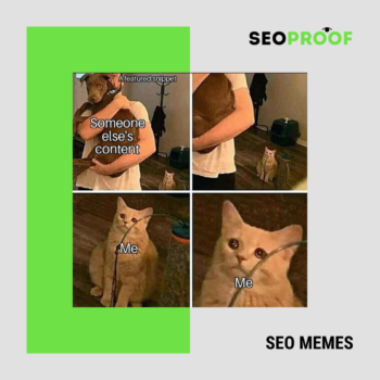 Uno snippet in evidenza. Il contenuto di qualcun altro. SEO MEME #13