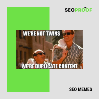 Non siamo gemelli. Siamo contenuti duplicati. SEO MEME #14